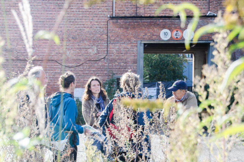 Groene Doeners Festival 32